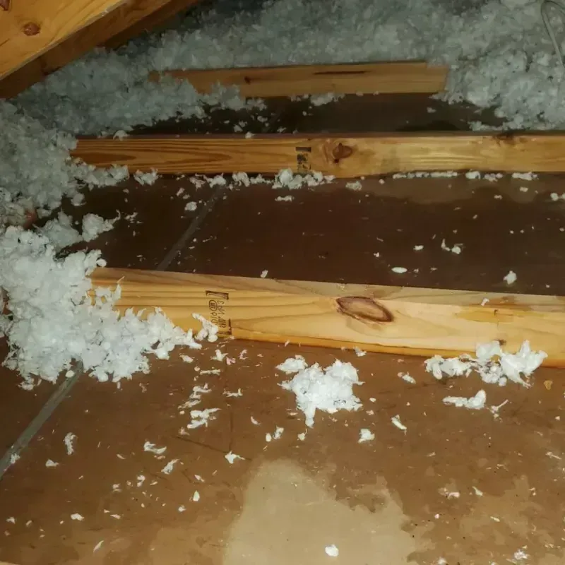 Attic Water Damage in Meridian, ID