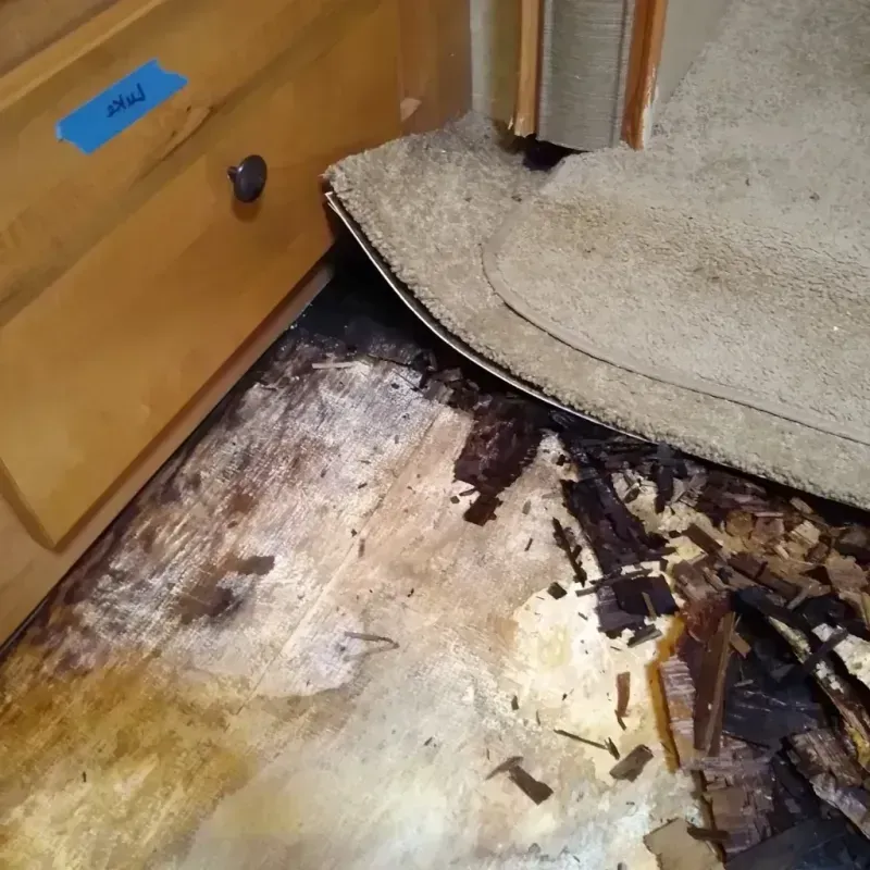 Wood Floor Water Damage in Meridian, ID